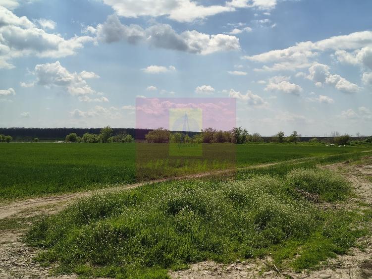 Teren în Central
