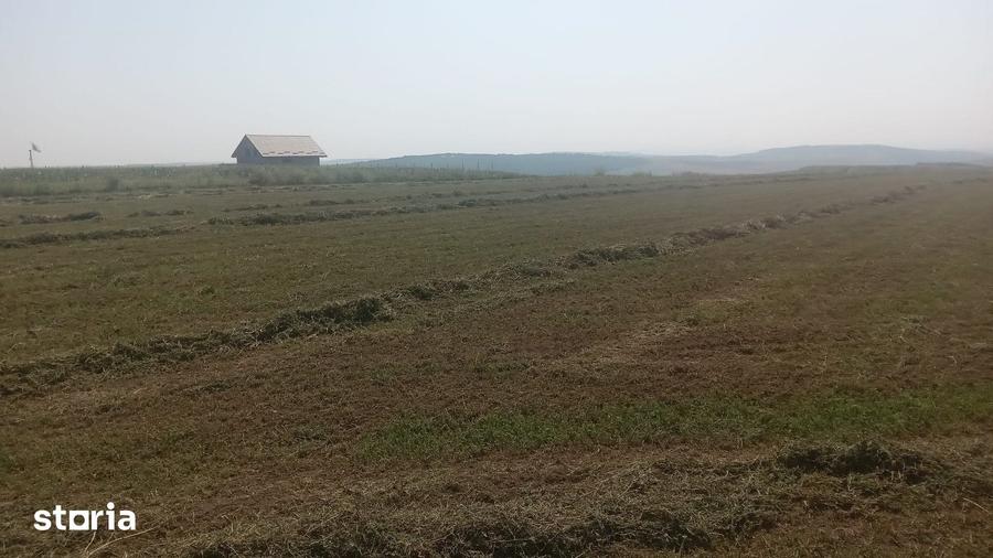 Teren de 6600 mp, în Rediu