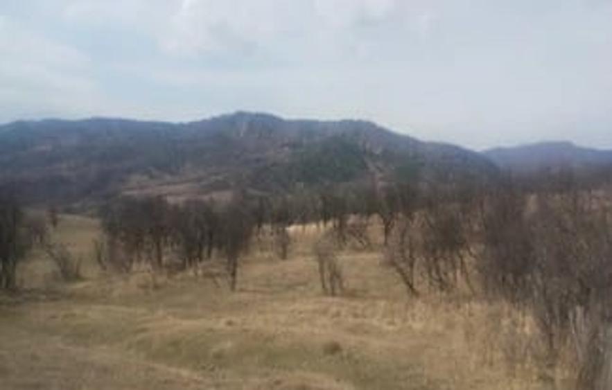Teren de 5000 mp, în Brăești