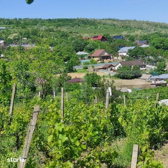 Casă cu 2 camere cu Teren 3471 Mp în Șipote