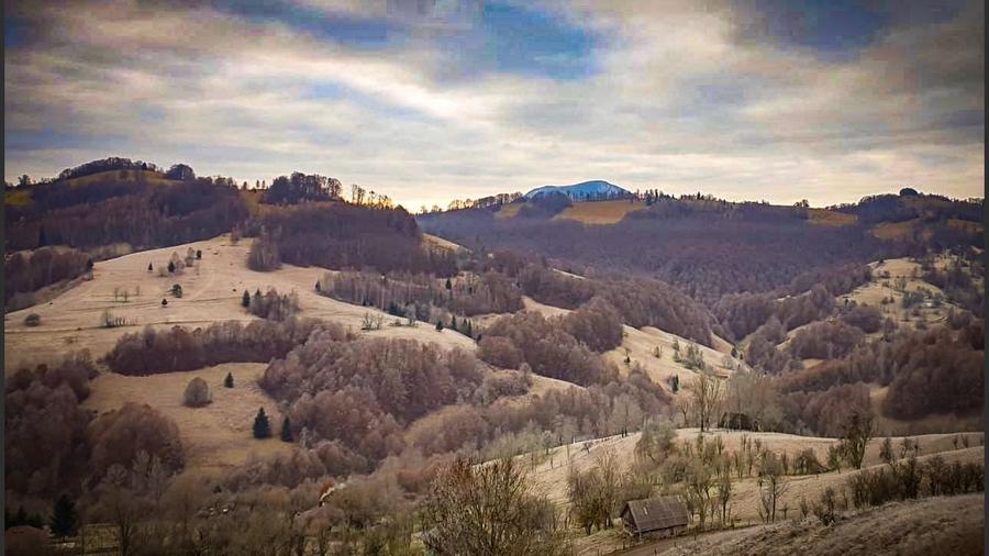 Teren agricol intravilan de 25359 mp, în Sohodol
