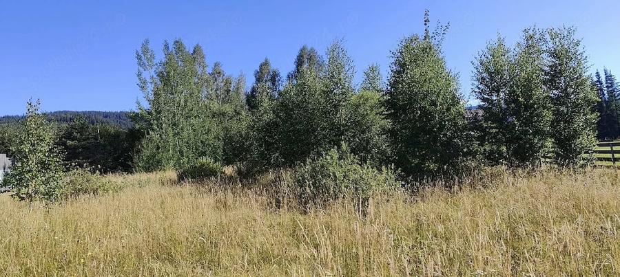 Teren de 3252 mp, în Neagra