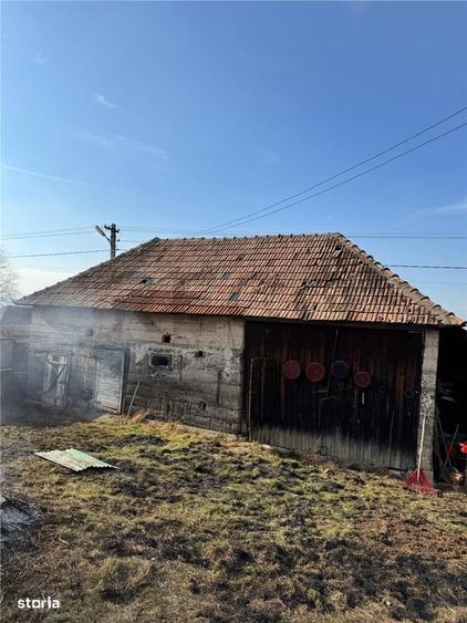 Casă cu 4 camere cu Teren 6240 Mp în Valea Crișului