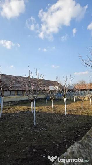 Casă cu 2 camere cu Teren 1500 Mp în Urzica