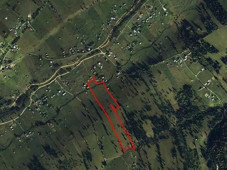 Teren de vanzare 49246 mp Neagra Sarului, comuna Saru Dornei, la 15 km de Vatra Dornei - 2