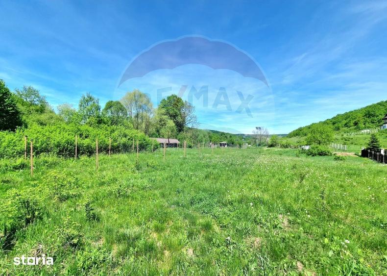 Teren de 8300 mp, în Mărgineni