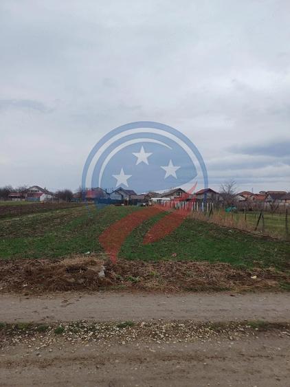 Teren de 1000 mp, în Sud
