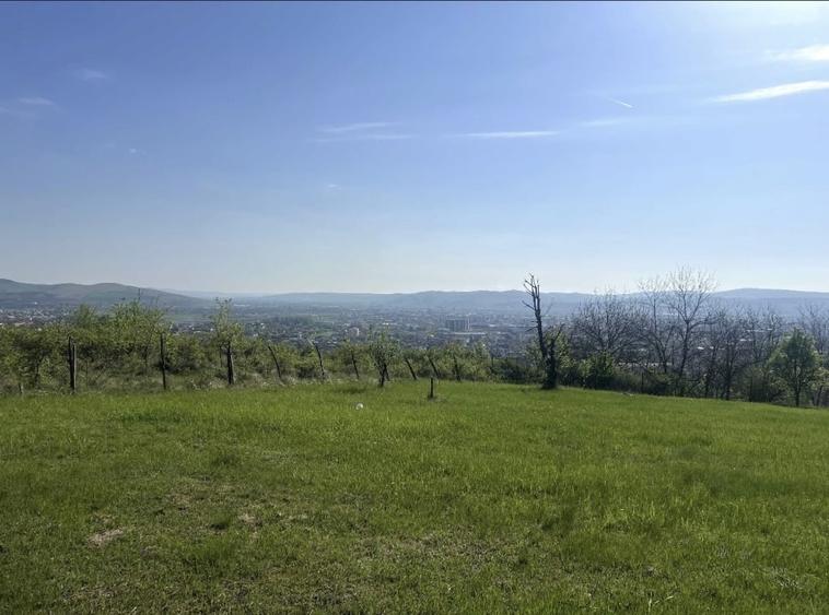 Teren Construcții intravilan de 700 mp, în Cetate