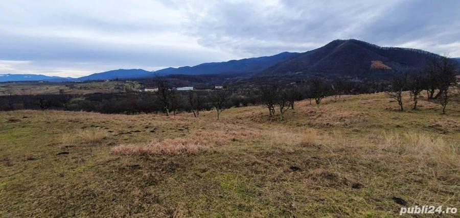 Teren de 1255 mp, în Cisnădioara
