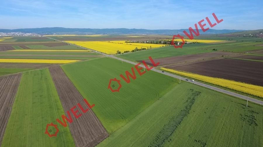 Teren extravilan de 68800 mp, în Sântionlunca