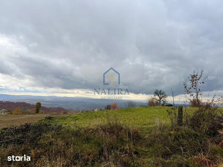 Teren de 2000 mp, în Valea Chioarului