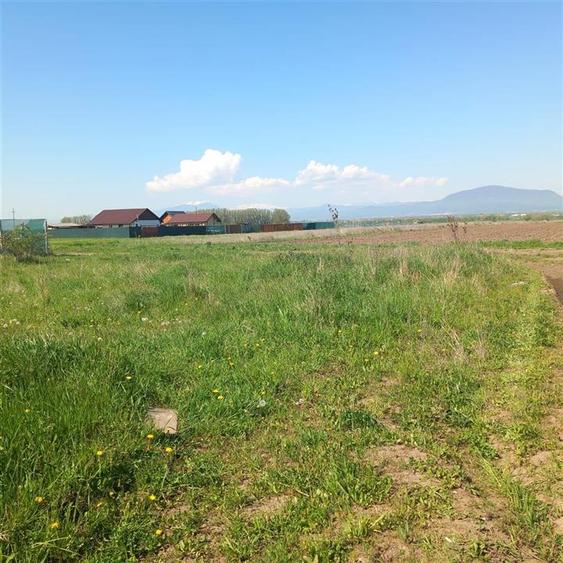 Teren Construcții intravilan de 1965 mp, în Sânpetru