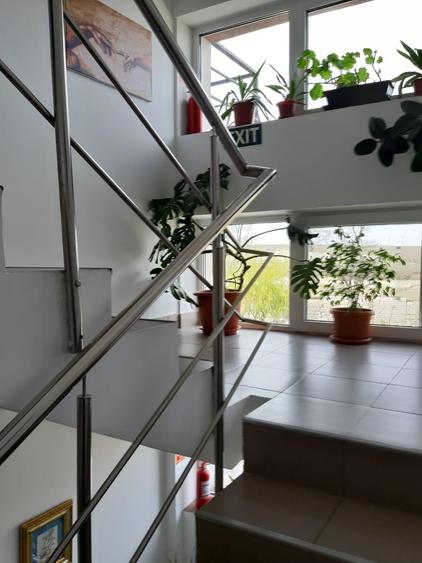 Casă individuală cu 16 camere cu Canalizare în Est