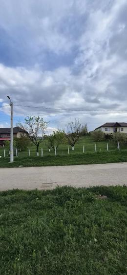 Teren de 1000 mp, în Central