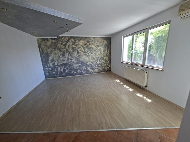 Dumbravita la intrare,  pentru locuit sau afacere - 8