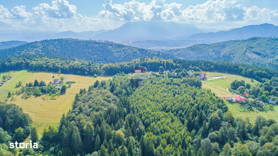 Teren de 1674 mp, în Poiana Mărului
