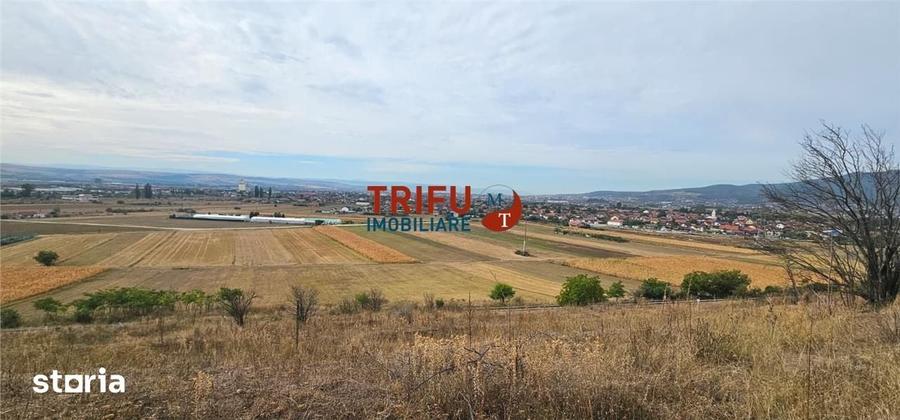 Teren de 5000 mp, în Bărăbanț