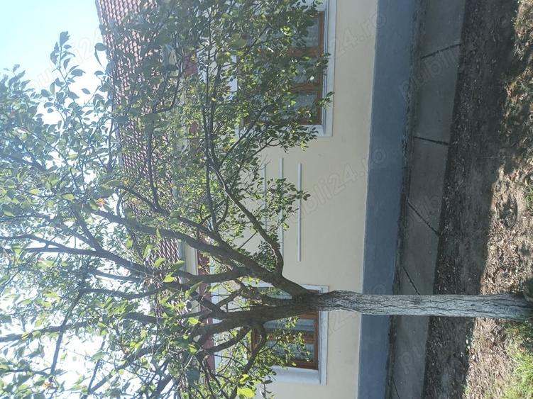 Casă cu 6 camere în Alioș