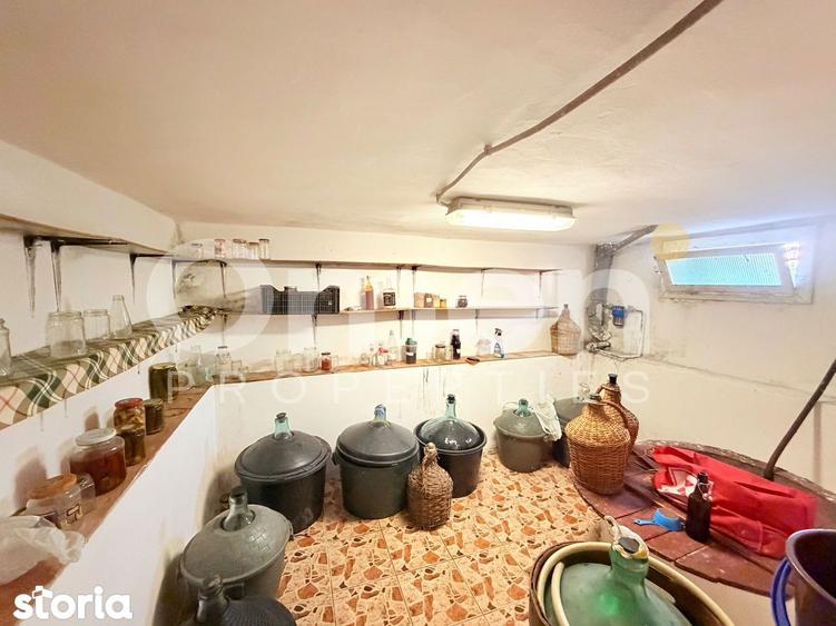 Casă cu 3 camere cu Teren 1500 Mp în Mireșu Mare