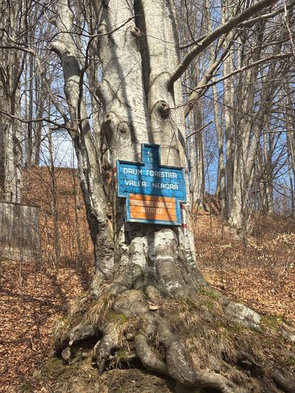 Teren agricol extravilan de 39.5 mp, în Măneciu