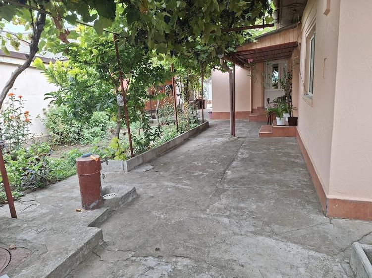 Casa Viile Noi,proprietar - 7