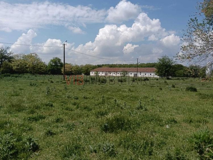 Ferma complet utilată – 30 ha teren comasat cu 11.500mp grajduri renovate Timiș - 11