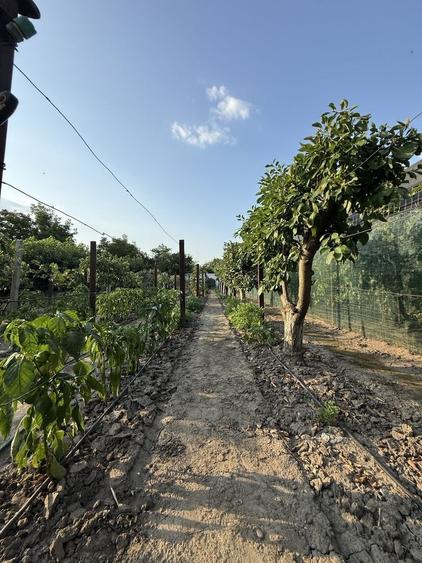 Casă cu 4 camere în Vânători