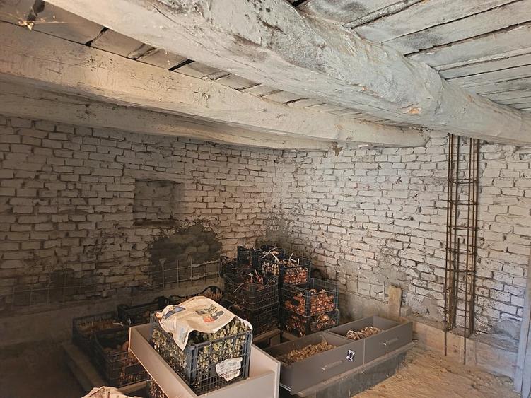 Casă cu Teren 1565 Mp în Sângătin