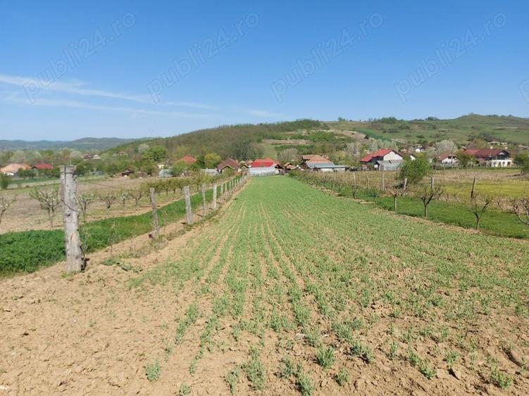 Teren de 76393 mp, în Vladimir