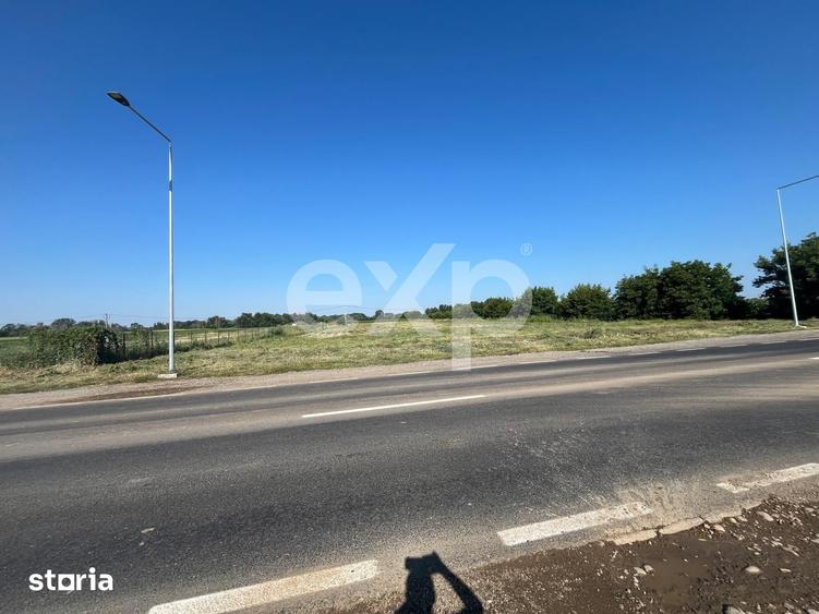 Teren de 15000 mp, în Sud