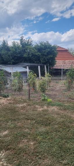 Casă individuală cu 2 camere cu Canalizare în Câmpia Turzii