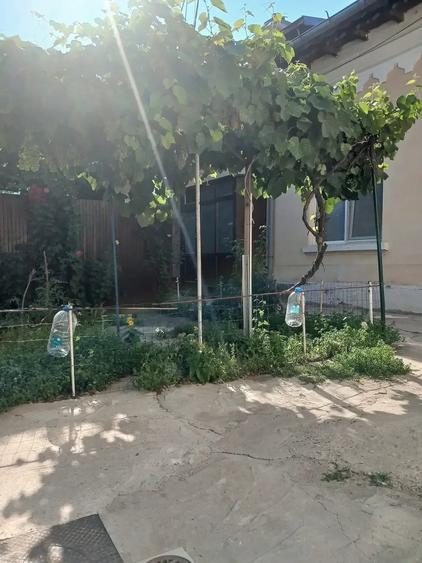 Casă cu 2 camere cu Teren 58 Mp în Central