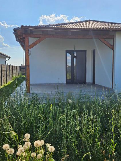 Casă cu 3 camere în Șag