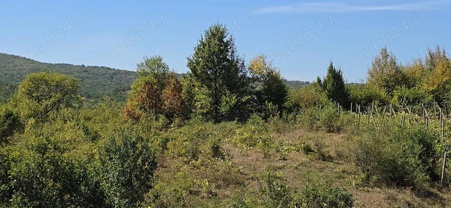 Casă cu 2 camere în Chicerea