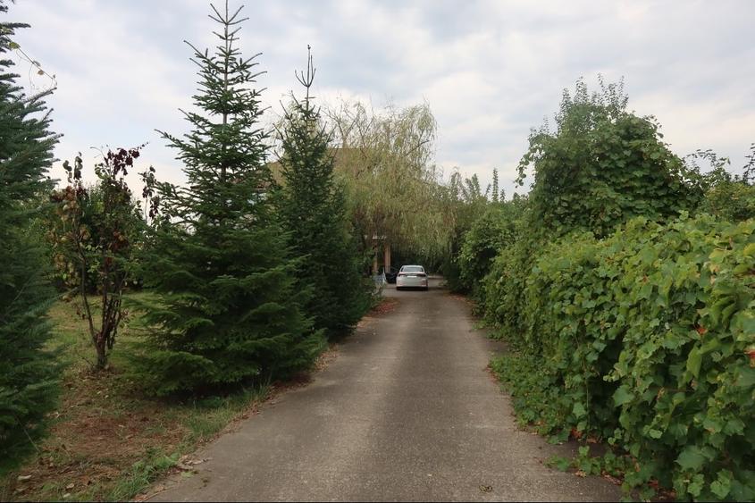 Casă individuală cu 5 camere cu Teren 1141 Mp în Rachieri