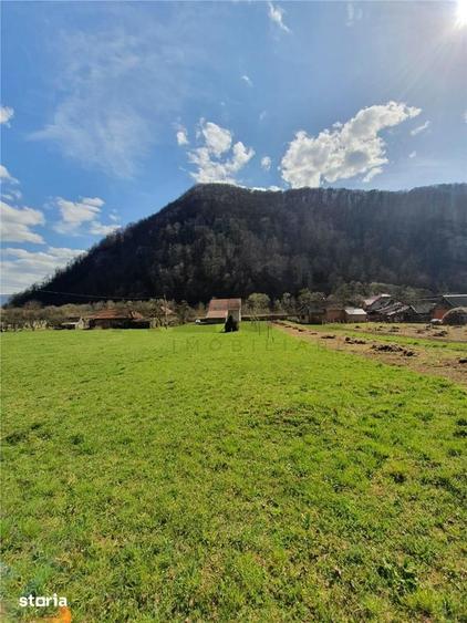 Teren de 6100 mp, în Bulz