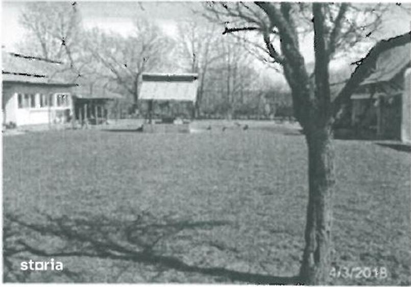Teren si casa Padureti, Arges- 3001283 - 6
