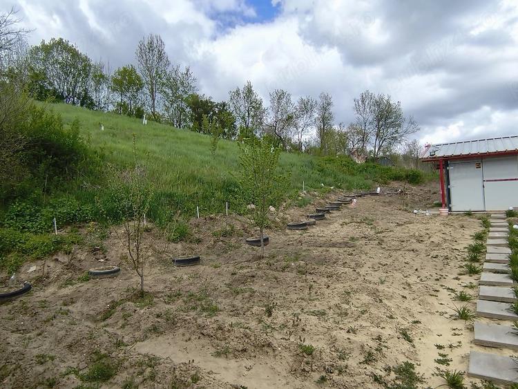 Casă cu 3 camere cu Teren 1800 Mp în Ilimbav