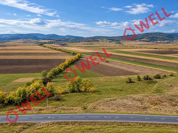 Teren extravilan de 11300 mp, în Bodoc