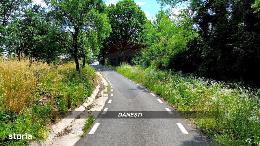 Spațiu comercial, în Șișești