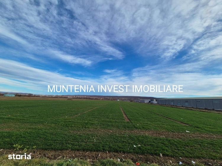 Teren intravilan 23504 mp. com.Maracineni,sat Argeselu. - 8