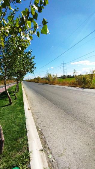 Teren Construcții intravilan de 4550 mp, în Nicolae Grigorescu