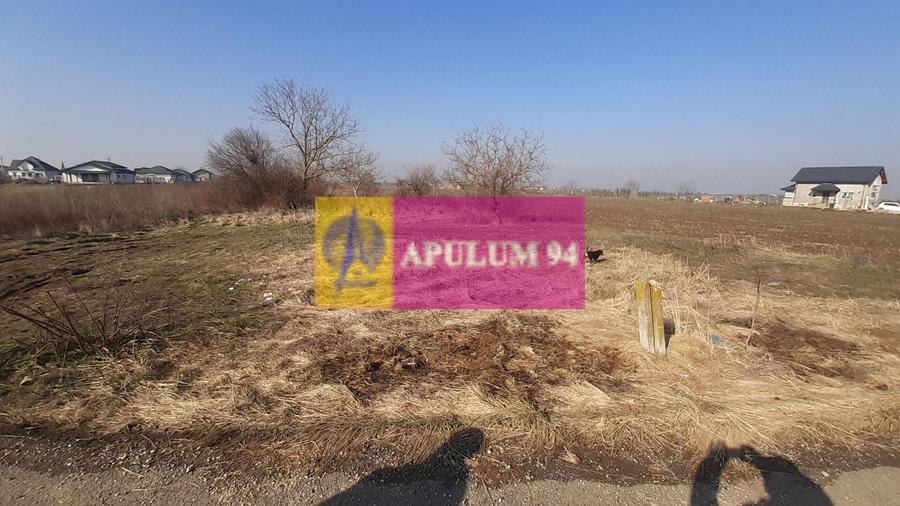 Teren Construcții intravilan de 1430 mp, în 1 Decembrie