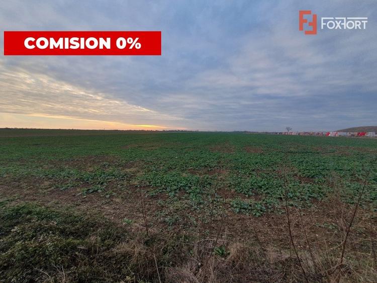 Teren agricol extravilan de 213257 mp, în Sud