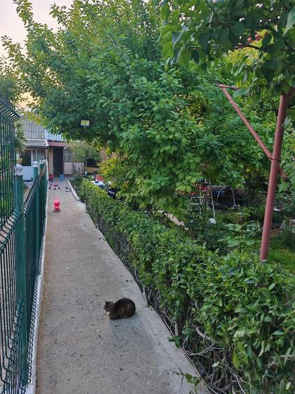 Casă cu 1 camere în Eforie