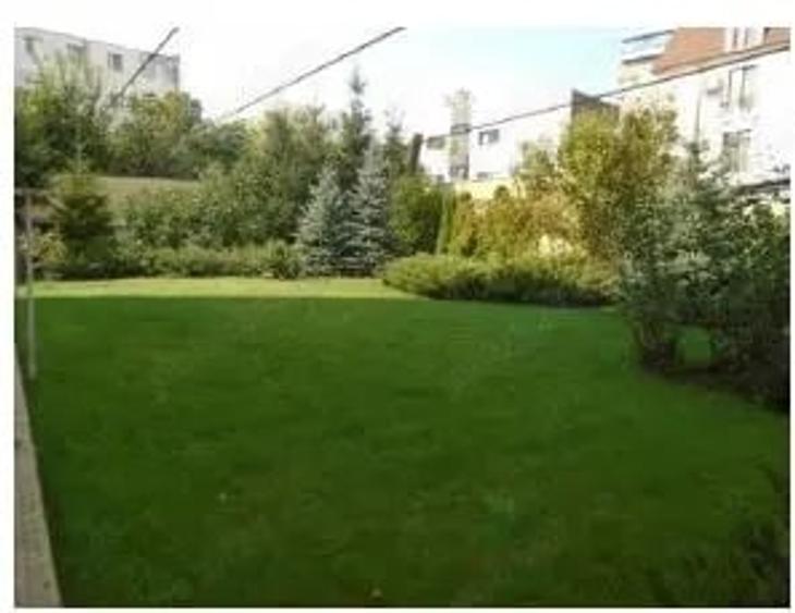 Teren de 645 mp, în Central