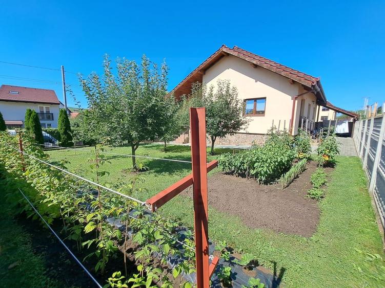 Casă individuală cu 5 camere cu Canalizare în Șura Mare