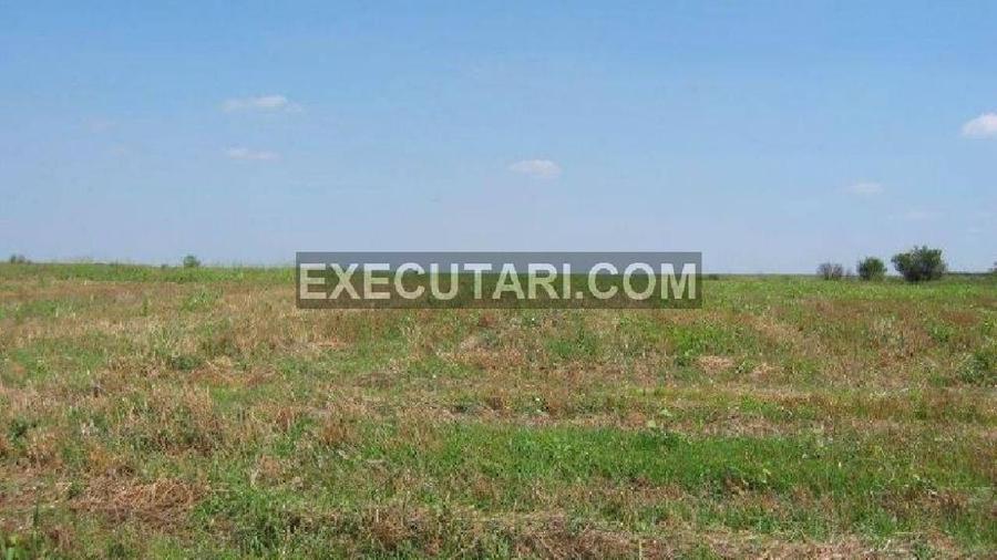 Teren agricol extravilan de 60000 mp, în Central