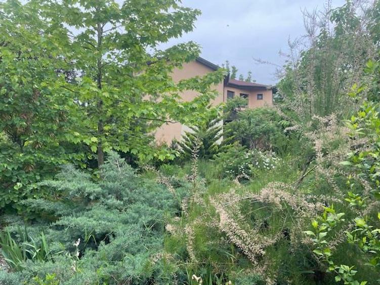 Casă individuală cu 6 camere cu Canalizare în Pipera