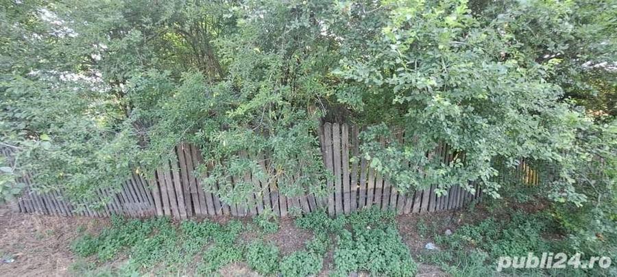 Teren de 2500 mp, în Radu Vodă